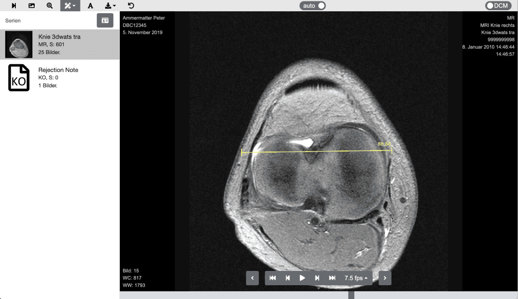 Beispielansicht HTML-5 Viewer